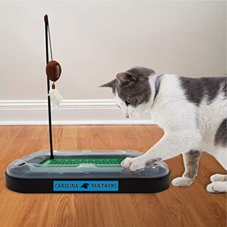Foto 6 | Foto 6 | Cat Scratcher Toy Pets First Nfl Carolina Panthers Football - Venta Internacional.