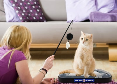 Foto 6 | Foto 6 | Juguete Para Rascar Gatos Pets First Nhl New York Islanders - Venta Internacional.