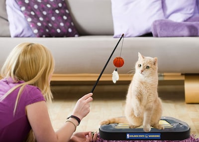 Foto 5 | Foto 5 | Pelota De Baloncesto Cat Scratcher Toy Pets First Golden State Warriors - Venta Internacional.