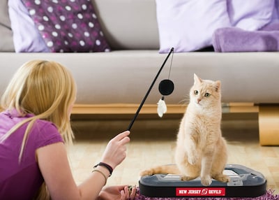 Foto 6 | Foto 6 | Juguete Para Rascar Gatos Pets First Nhl New Jersey Devils Hockey - Venta Internacional.