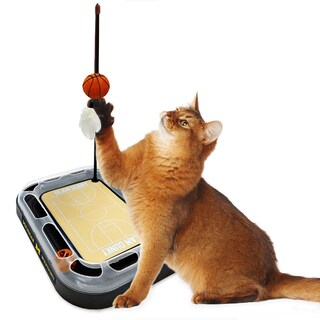Foto 7 | Foto 7 | Juguete Para Rascar Gatos, Primera Pelota De Baloncesto De Los Michigan Wolverines De La Ncaa - Venta Internacional.