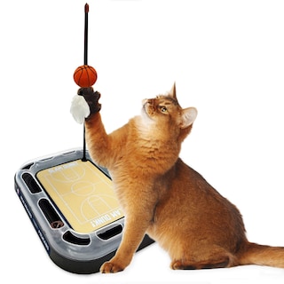 Foto 6 | Foto 6 | Pelota De Baloncesto Cat Scratcher Toy Pets First New Orleans Pelicans - Venta Internacional.