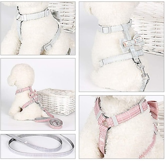 Foto 4 | Foto 4 | Juego De Arneses Para Gatos Huoguo Escape Proof Con Correa Para Gatos Pequeños - Venta Internacional.