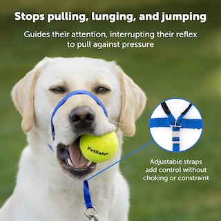 Foto 3 | Foto 3 | Collar Para Perro Petsafe Gentle Leader No-pull Small Green - Venta Internacional.