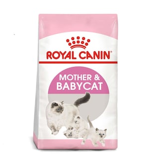 Foto 1 | Foto 1 | Alimento Croqueta para Gatas Gestantes Gatitos 1.37kg Royal Canin