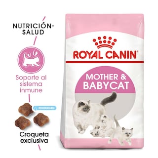Foto 2 | Foto 2 | Alimento Croqueta para Gatas Gestantes Gatitos 1.37kg Royal Canin