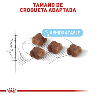 Foto 5 | Foto 5 | Alimento Croqueta para Gatas Gestantes Gatitos 1.37kg Royal Canin