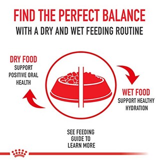 Foto 6 | Foto 6 | Alimento Para Gatos Royal Canin Hairball Care 1,36 Kg - Venta Internacional.