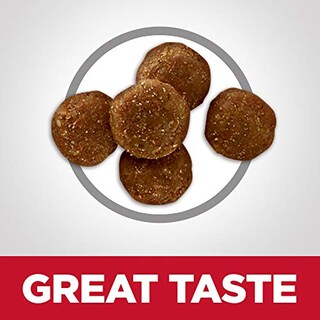 Foto 6 | Foto 6 | Comida Para Gatos Hill's Science Diet Para Adultos Mayores De 7 Años, Con Digestión Perfecta - Venta Internacional.