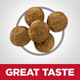 Foto 6 | Foto 6 | Comida Para Gatos Hill's Science Diet Perfect Digestion, Bolsa De 1,6 Kg - Venta Internacional.