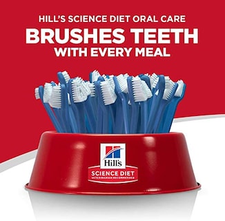 Foto 3 | Foto 3 | Comida Seca Para Gatos Hill's Science Diet Para El Cuidado Bucal De Adultos, Bolsa De 1,6 Kg - Venta Internacional.