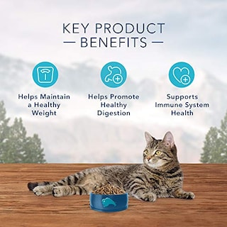 Foto 5 | Foto 5 | Comida Para Gatos Blue Buffalo Wilderness Con Alto Contenido De Proteínas, Pollo De 5 Kg - Venta Internacional.