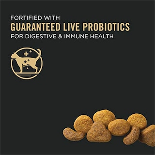 Foto 2 | Foto 2 | Alimento Para Gatos Purina Pro Plan Con Salmón Y Arroz De 1,6 Kg Con Probióticos - Venta Internacional.