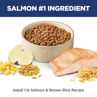Foto 2 | Foto 2 | Cat Food Hill's Science Diet, Salmón Premium Para Adultos De 1 A 6 Años, 2,95 Kg - Venta Internacional.