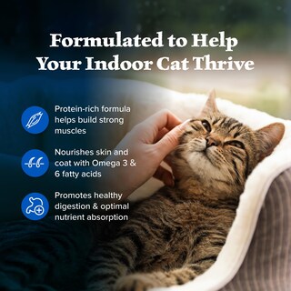Foto 4 | Foto 4 | Comida Para Gatos Blue Buffalo Wilderness Con Alto Contenido De Proteínas, 6,8 Kg - Venta Internacional.