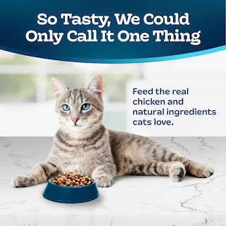 Foto 3 | Foto 3 | Comida Seca Blue Buffalo Tastefuls Para Gatos Adultos, Bolsa De 1,36 Kg - Venta Internacional.