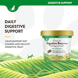 Foto 4 | Foto 4 | Enzimas Digestivas Para Gatos Naturvet Plus Probiotics 60 Soft Chews - Venta Internacional.