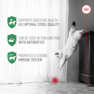 Foto 5 | Foto 5 | Suplemento Royal Canin Probiotics Digestive Immune Cat 30 Unidades - Venta Internacional.
