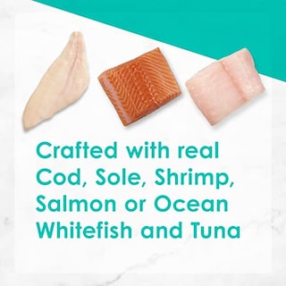 Foto 6 | Foto 6 | Paquete Variado De Comida Húmeda Para Gatos Purina Fancy Fea - Venta Internacional.