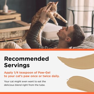 Foto 4 | Foto 4 | Hairball Paw Gel Nutri-vet Para Gatos Con Sabor A Salmón, 90 Ml - Venta Internacional.
