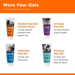 Foto 6 | Foto 6 | Hairball Paw Gel Nutri-vet Para Gatos Con Sabor A Salmón, 90 Ml - Venta Internacional.