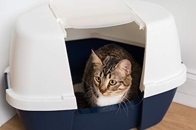 Foto 3 | Foto 3 | Caja De Arena Para Gatos Iris Jumbo Con Capucha Y Cuchara Para Arena, Gris - Venta Internacional.
