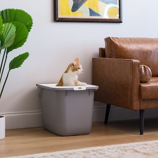 Foto 4 | Foto 4 | Caja De Arena Para Gatos Iris Usa Con Entrada Superior Grande, Gris Y Blanco - Venta Internacional.