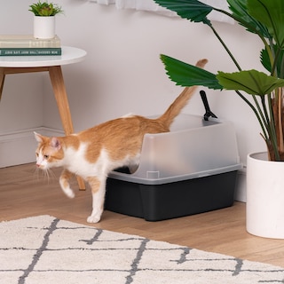 Foto 7 | Foto 7 | Caja De Arena Para Gatos Iris Usa, Grande, Con Protector De Dispersión Y Cuchara, Negra - Venta Internacional.