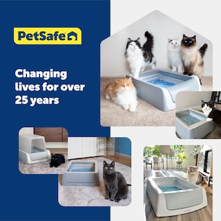 Foto 7 | Foto 7 | Arena Para Gatos Petsafe, Sin Cuchara, De Primera Calidad, Azul, No Se Apelmaza - Venta Internacional.