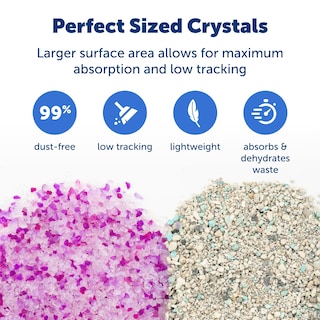 Foto 3 | Foto 3 | Arena Para Gatos Petsafe, Sin Cuchara, Lavanda, Cristal Que No Se Apelmaza - Venta Internacional.