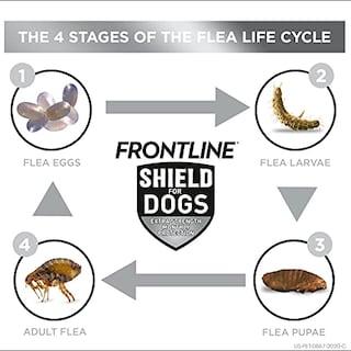 Foto 3 | Foto 3 | Tratamiento De Pulgas Y Garrapatas Frontline Shield Para Perros De 2,3 A 4,5 Kg - Venta Internacional.