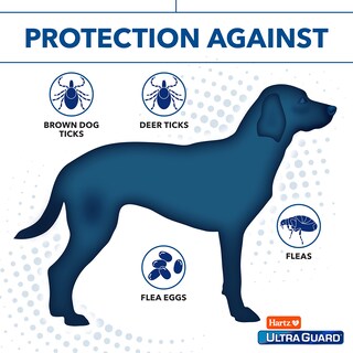 Foto 4 | Foto 4 | Tratamiento Tópico Contra Pulgas Y Garrapatas Hartz Ultraguard Para Perros De Más De 60 Libras - Venta Internacional.