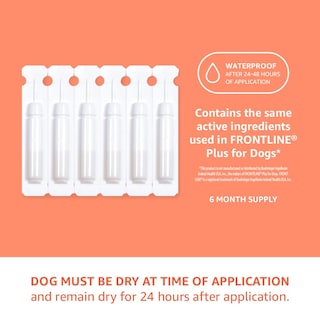 Foto 6 | Foto 6 | Tratamiento Tópico Contra Pulgas Y Garrapatas Amazon Basics Para Perros Pequeños - Venta Internacional.