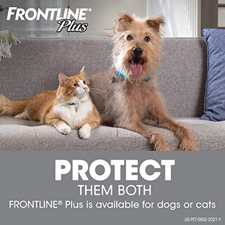 Foto 7 | Foto 7 | Tratamiento Antipulgas Y Garrapatas Frontline Plus Para Perros, Tamaño Mediano - Venta Internacional.
