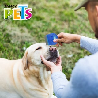 Foto 4 | Foto 4 | Peine Antipulgas Fancy Pets Chico color Azul