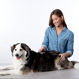 Foto 4 | Foto 4 | Peine Desmatting Bissell 25371 Para Perros Y Gatos - Venta Internacional.