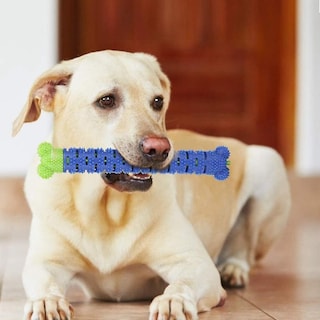 Foto 4 | Foto 4 | Limpiador De Dientes Para Perros En Barra De Silicona Azul Huoguo - Venta Internacional.