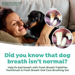 Foto 5 | Foto 5 | Cepillo De Dientes Tropiclean Fresh Breath Tripleflex Para Perros - Venta Internacional.
