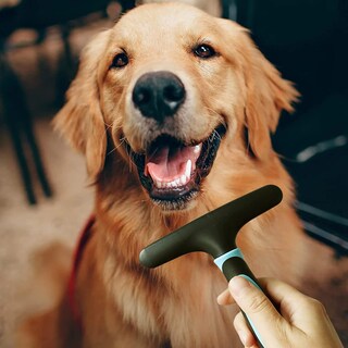 Foto 4 | Foto 4 | Cepillo De Aseo Para Mascotas Con Diseño Fioviel Para Perros - Venta Internacional.