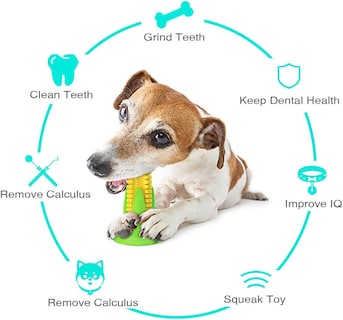 Foto 2 | Foto 2 | Juguete Masticable Dog Squeaky Con Ventosa Para La Salud Dental - Venta Internacional.
