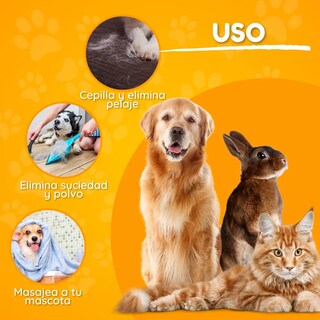 Foto 2 | Foto 2 | Kit Cepillo Y Tijeras Mascota Belug 7pz Colores