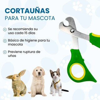 Foto 3 | Foto 3 | Kit Cepillo Y Tijeras Mascota Belug 7pz Colores