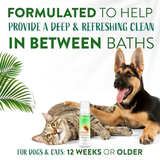 Foto 5 | Foto 5 | Champú Sin Agua Tropiclean Watermelon Para Perros Y Gatos, 220 Ml - Venta Internacional.