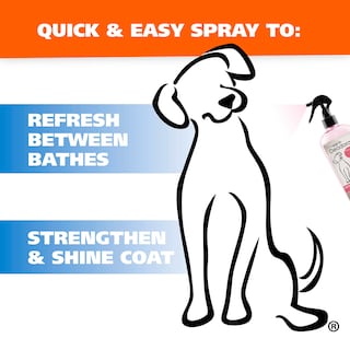 Foto 4 | Foto 4 | Desodorante Para Mascotas Wahl Cianflower Aloe Clean Fresh Smell 240 Ml - Venta Internacional.
