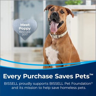 Foto 2 | Foto 2 | Limpiador Bissell Para Mascotas Multisuperficie Con Aroma A Cítricos, 1,89 L - Venta Internacional.