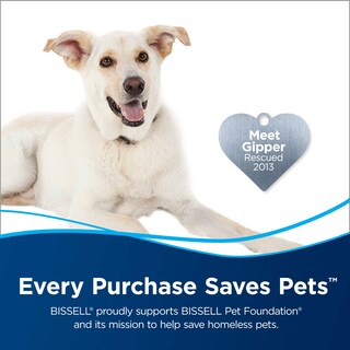 Foto 2 | Foto 2 | Limpiador De Alfombras Bissell 62e5a 2 Veces Concentrado De 1,8 L - Venta Internacional.