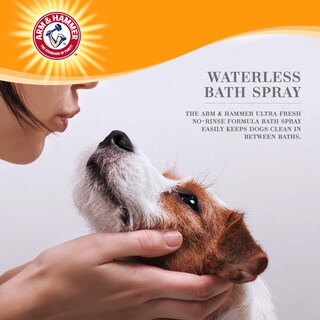 Foto 2 | Foto 2 | Aerosol De Baño Sin Agua Arm & Hammer Para Mascotas Ultra Fresh - Venta Internacional.