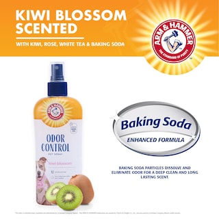 Foto 4 | Foto 4 | Aerosol Desodorizante Arm & Hammer Para Mascotas Y Perros, 240 Ml - Venta Internacional.