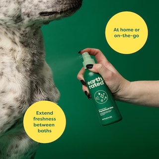 Foto 2 | Foto 2 | Aerosol Desodorizante Para Perros, Té Blanco Refrescante De Calidad Ambiental, 240 Ml - Venta Internacional.