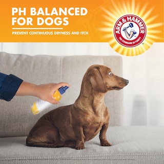 Foto 4 | Foto 4 | Pulverizador Itch Relief Arm & Hammer Para Mascotas Y Perros, 240 Ml - Venta Internacional.